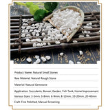 100g Cobblestone Decorative Stone Marbles for Succulent Bonsai Fish Tank Vase Plant Little Stone Home Garden Pebbles Decor White