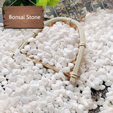 100g Cobblestone Decorative Stone Marbles for Succulent Bonsai Fish Tank Vase Plant Little Stone Home Garden Pebbles Decor White