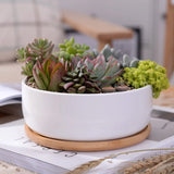 1 Set Minimalist White Ceramic Succulent Plant Pot Porcelain Deep Rounded Pot Desktop Pot Zakka Home Decor (1 Pot + 1 Tray)