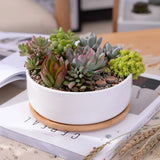 1 Set Minimalist White Ceramic Succulent Plant Pot Porcelain Deep Rounded Pot Desktop Pot Zakka Home Decor (1 Pot + 1 Tray)