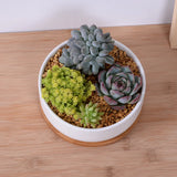 1 Set Minimalist White Ceramic Succulent Plant Pot Porcelain Deep Rounded Pot Desktop Pot Zakka Home Decor (1 Pot + 1 Tray)