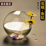 Transparent Glass Vase Fish Tank Hydroponic Flower Vase Round Vasos Panda Decorativos  Glass Vases Fishbowl home decoration