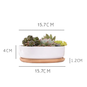 1 Set Minimalist White Ceramic Succulent Plant Pot Porcelain Deep Rounded Pot Desktop Pot Zakka Home Decor (1 Pot + 1 Tray)