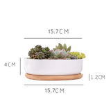 1 Set Minimalist White Ceramic Succulent Plant Pot Porcelain Deep Rounded Pot Desktop Pot Zakka Home Decor (1 Pot + 1 Tray)