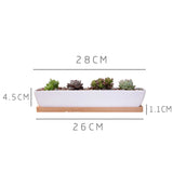 1 Set Minimalist Geometry White Ceramic Succulent Plant Pot Bonsai Planter Porcelain Flower Pot Home Decor (1 Pot + 1 Stand)