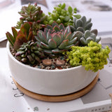 1 Set Minimalist White Ceramic Succulent Plant Pot Porcelain Deep Rounded Pot Desktop Pot Zakka Home Decor (1 Pot + 1 Tray)