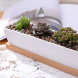 1 Set Minimalist Geometry White Ceramic Succulent Plant Pot Bonsai Planter Porcelain Flower Pot Home Decor (1 Pot + 1 Stand)