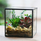 Transparent Glass The Cube Shape with Lid Terrarium Vase,Creative Tabletop Flower Vase For Home&Wedding Decoration