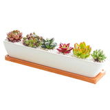 1 Set Minimalist Geometry White Ceramic Succulent Plant Pot Bonsai Planter Porcelain Flower Pot Home Decor (1 Pot + 1 Stand)