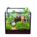 Transparent Glass The Cube Shape with Lid Terrarium Vase,Creative Tabletop Flower Vase For Home&Wedding Decoration