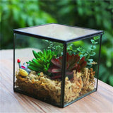 Transparent Glass The Cube Shape with Lid Terrarium Vase,Creative Tabletop Flower Vase For Home&Wedding Decoration