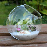 Transparent Glass Vase Fish Tank Hydroponic Flower Vase Round Vasos Panda Decorativos  Glass Vases Fishbowl home decoration